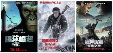 国产崛起真实结局视频播放,真实结局震撼揭秘，视频播放量突破百万