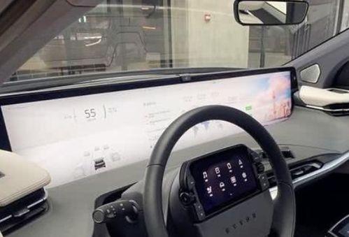 国产车该怎么购买呢视频