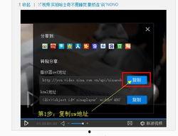 强插视频国产,强插视频引领国产科技新潮流