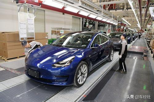 国产特斯拉试评视频下载,性能、续航与智能体验全面揭秘