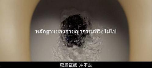 国产无病毒视频,守护网络安全，畅享健康视听盛宴