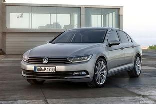 国产帕萨特视频下载安装  第2张