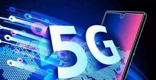 国产8x人视频免费观看  第2张